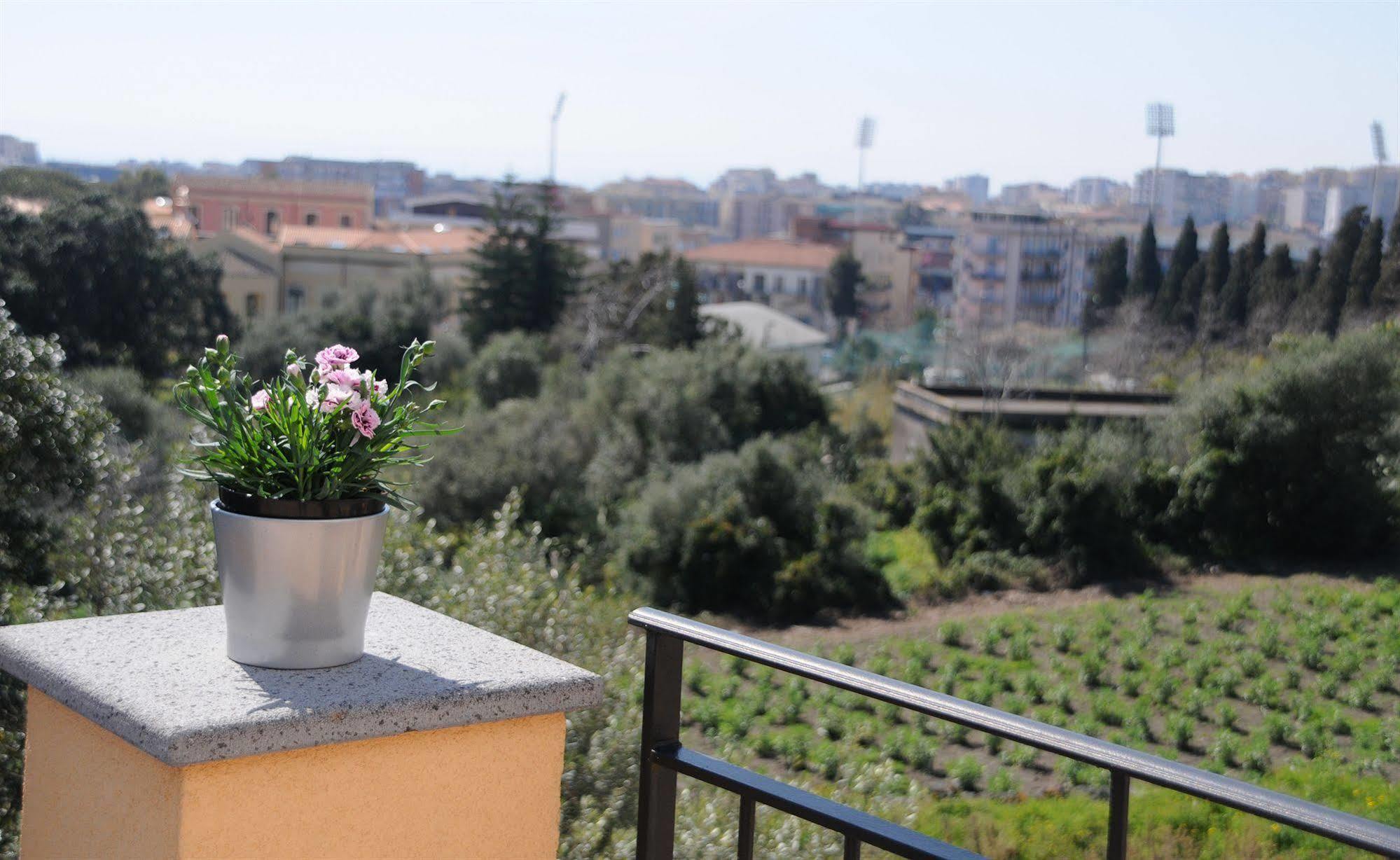 La Circumetnea Apartamento *
